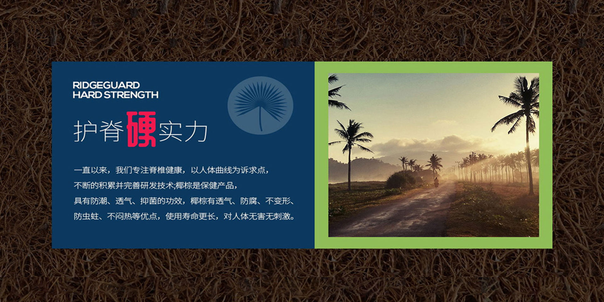 91香蕉APP成人污在线看